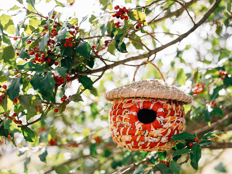 Sari-Made Magic: Transforming Old Cloth Into New Designs