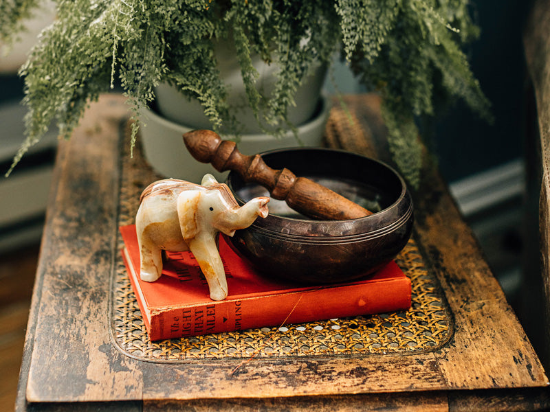 Finding Focus: Practicing Presence in Our Daily Lives