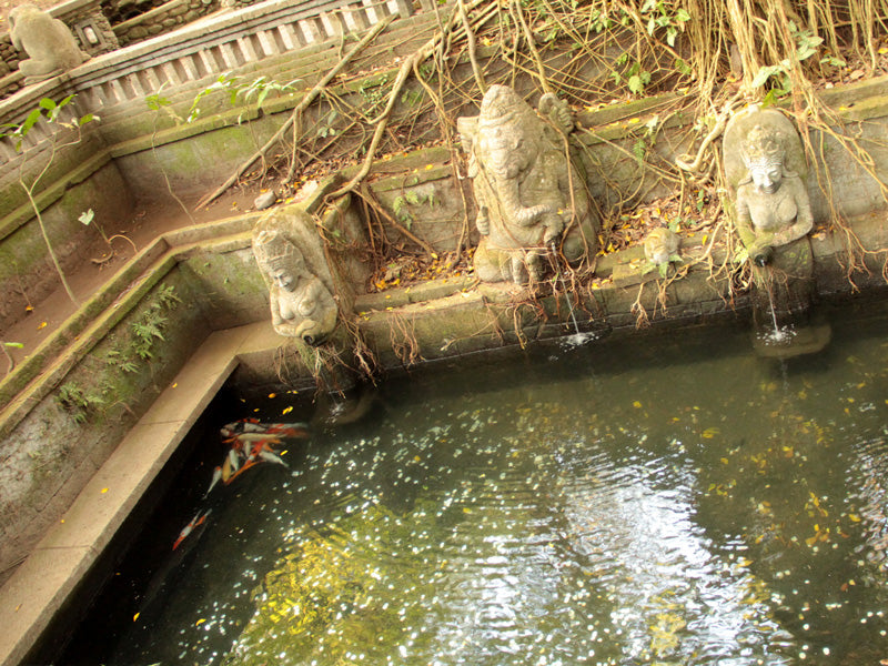 Explore Indonesia: Finding work in a beautiful, but complicated country