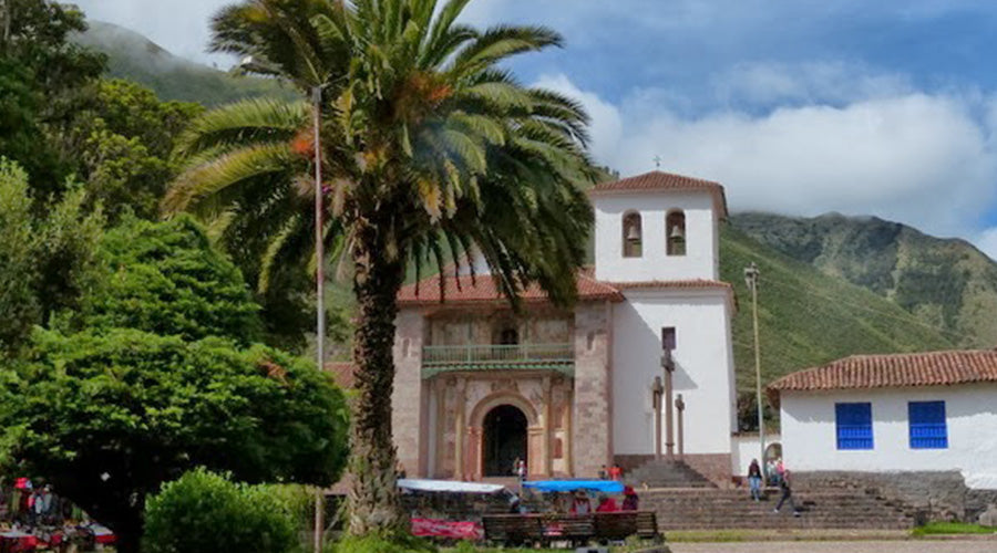 Dream of Warmer Places