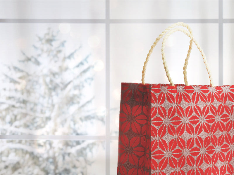 What does it mean to Bring Joy this holiday season?