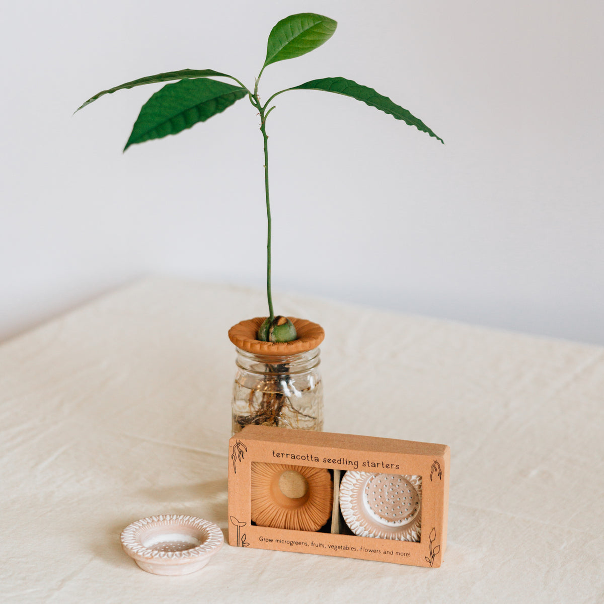 Bija Floral Seed Sprouter Set – Ten Thousand Villages