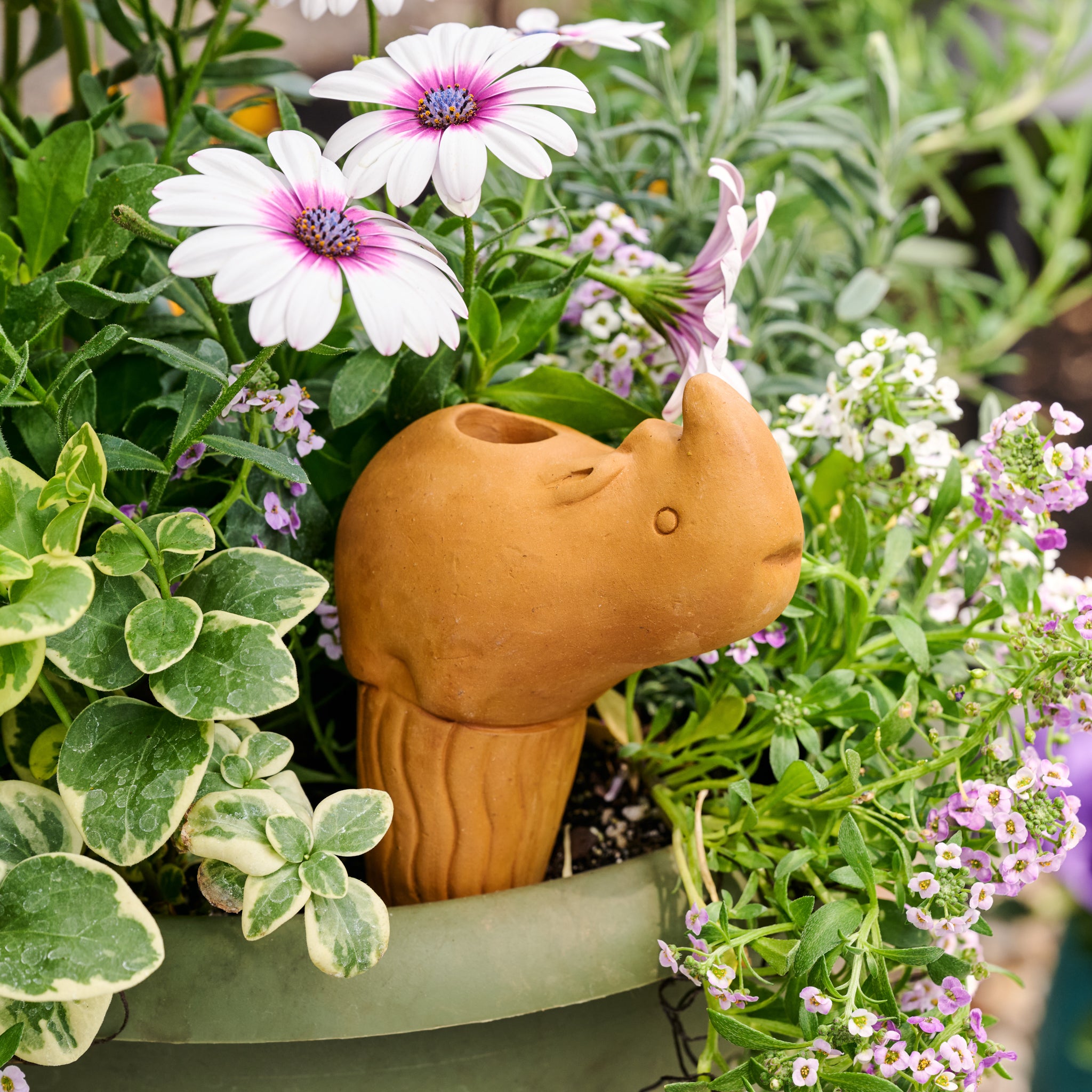 Self Watering Plant Pet - Rhino - Ten Thousand Villages