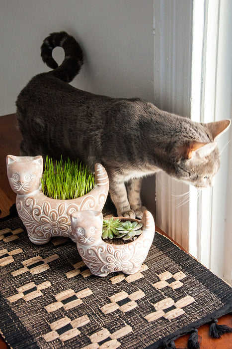 Garden Kitty Planter 4