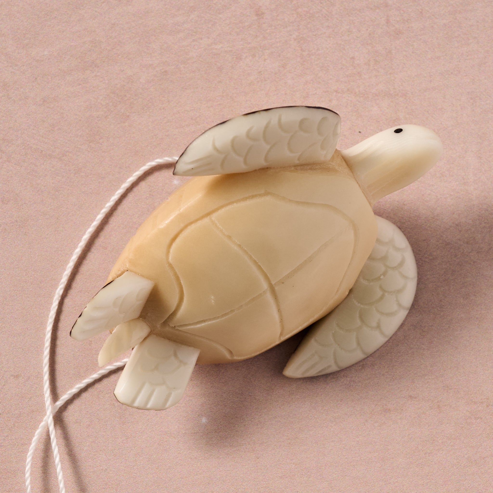 Tagua Turtle Ornament