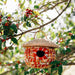 Acorn Sari Birdhouse thumbnail 2