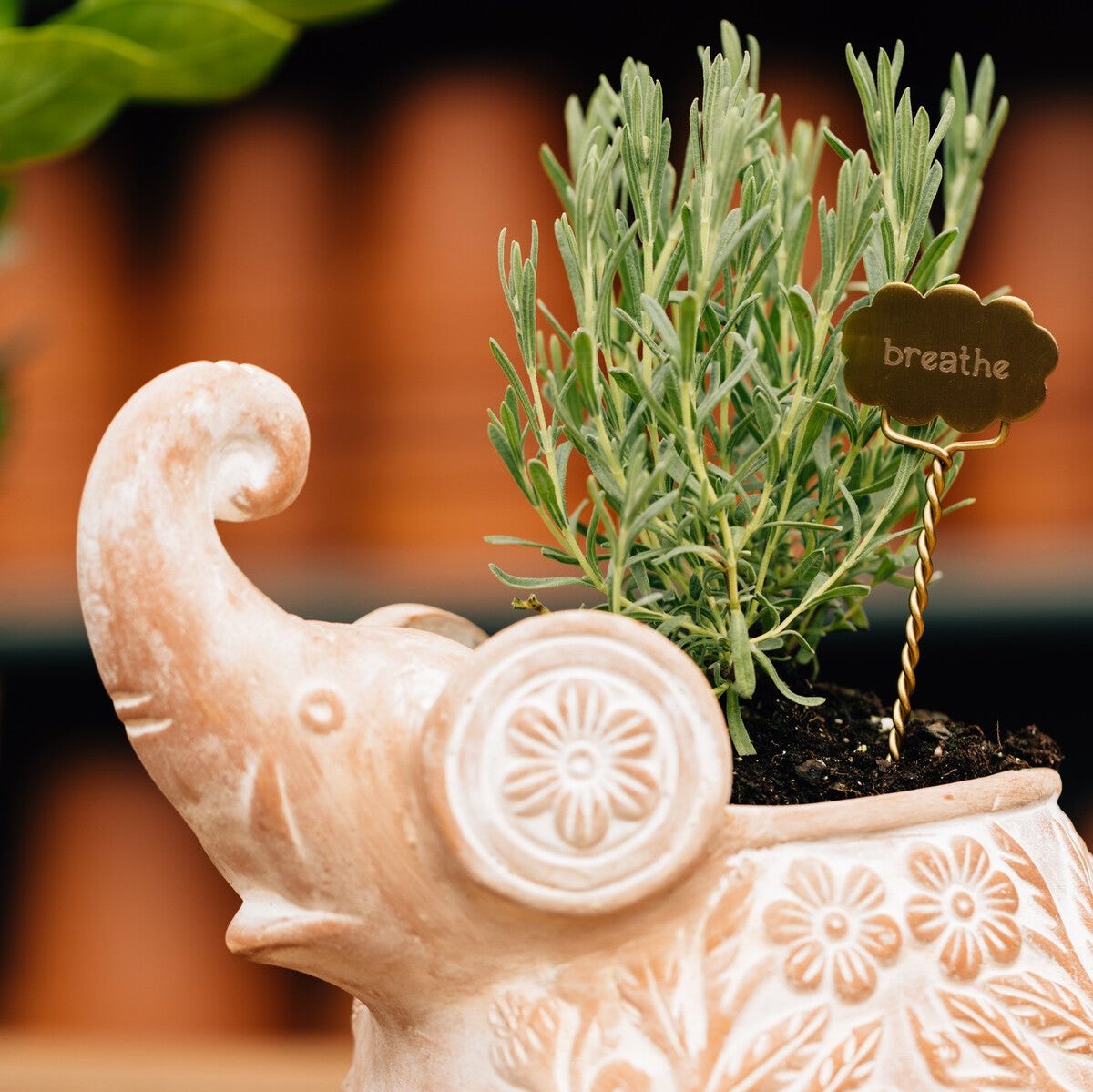 Plant Markers - Rest - Ten Thousand Villages