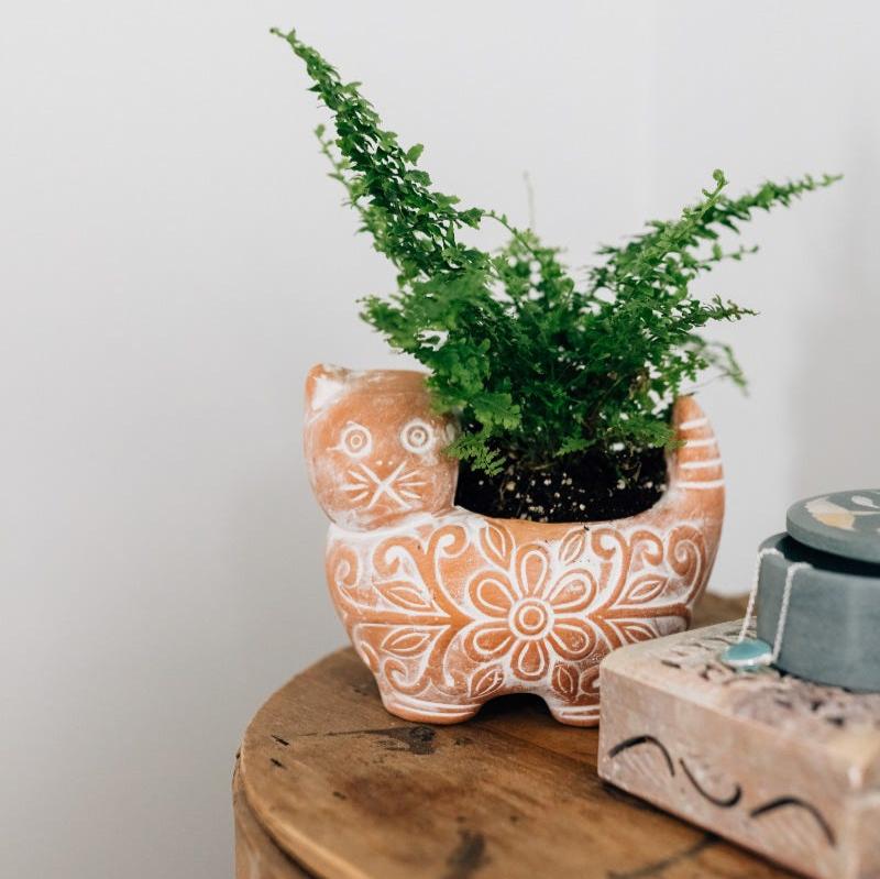cat pot plant holder Garden Kitty Planter – Ten Thousand Villages