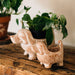 Terracotta Dog Planter 4.75" thumbnail 3