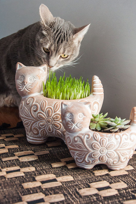 Garden Kitty Planter 3