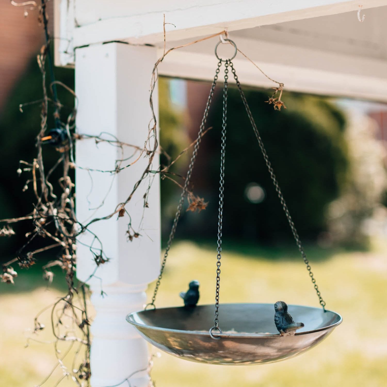 Clear Skies Bird Feeder - Ten Thousand Villages