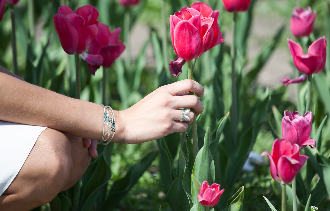 Embracing Iridescence