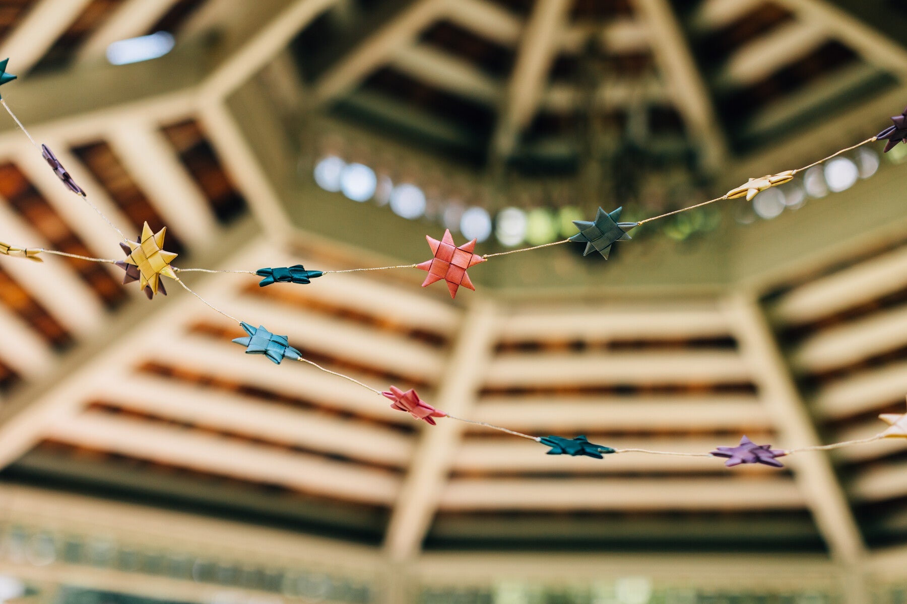 Sustainable Celebrations: How to Party Without Plastic