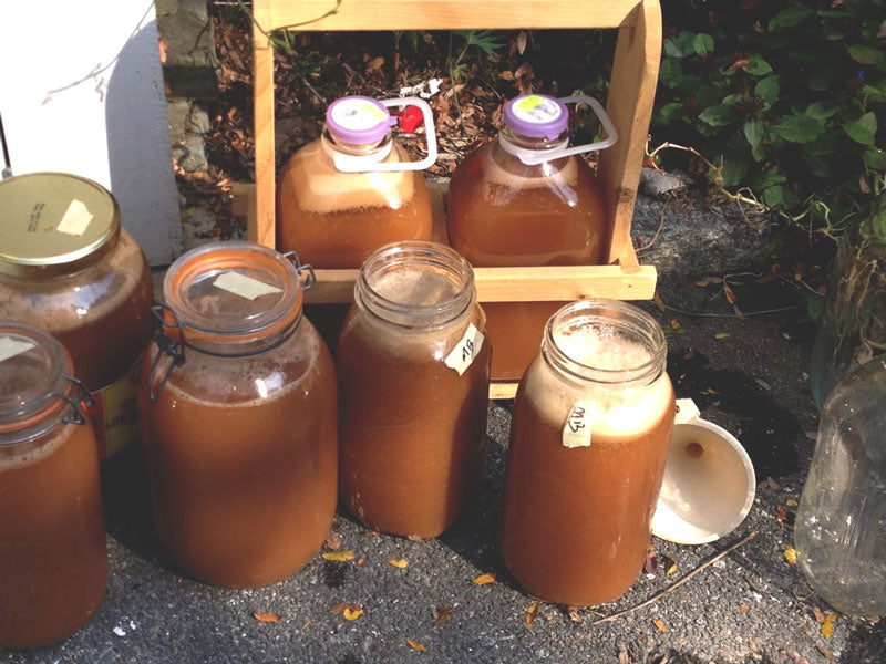 How to throw an Apple Cider All-Nighter