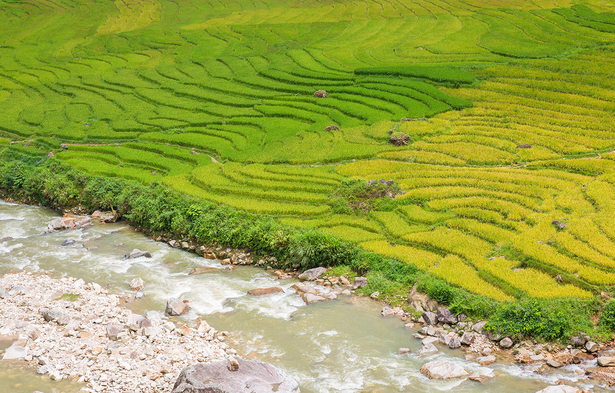 Landscapes: know your place, change the space