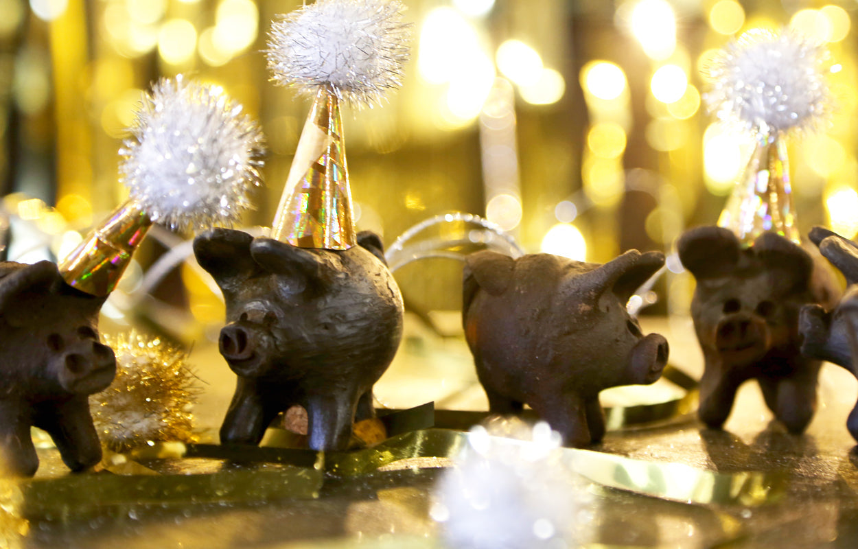 Lucky little piggy, bring us luck for the New Year