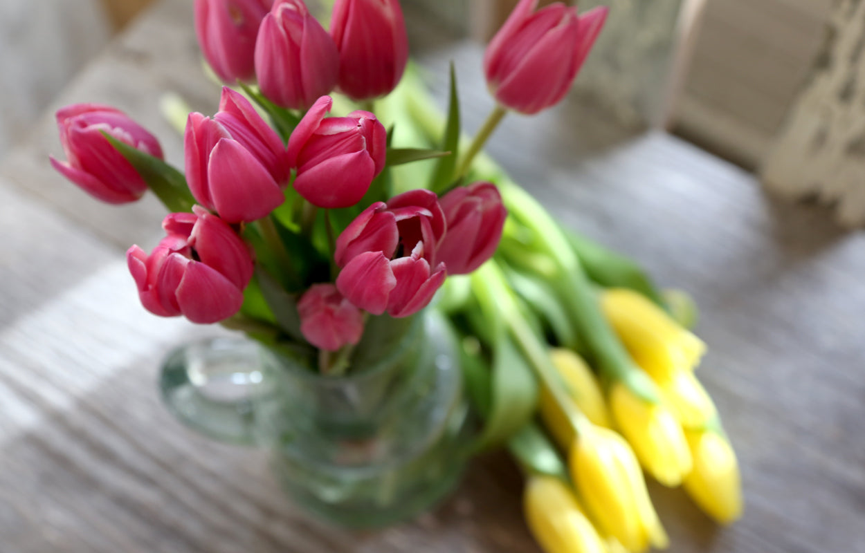 Treat Yourself (Right)