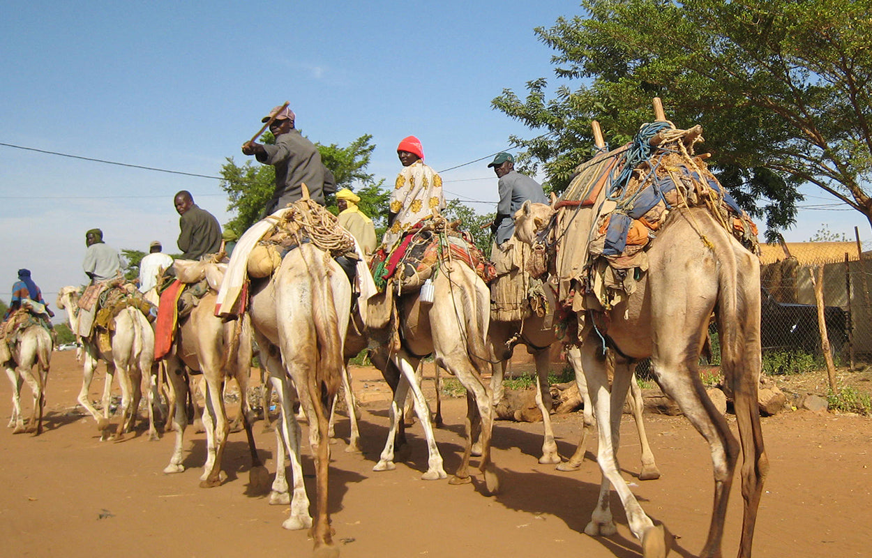 Trading Salt for Gold