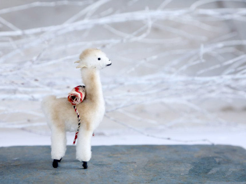 Victor Vicuna Goes On A Quest