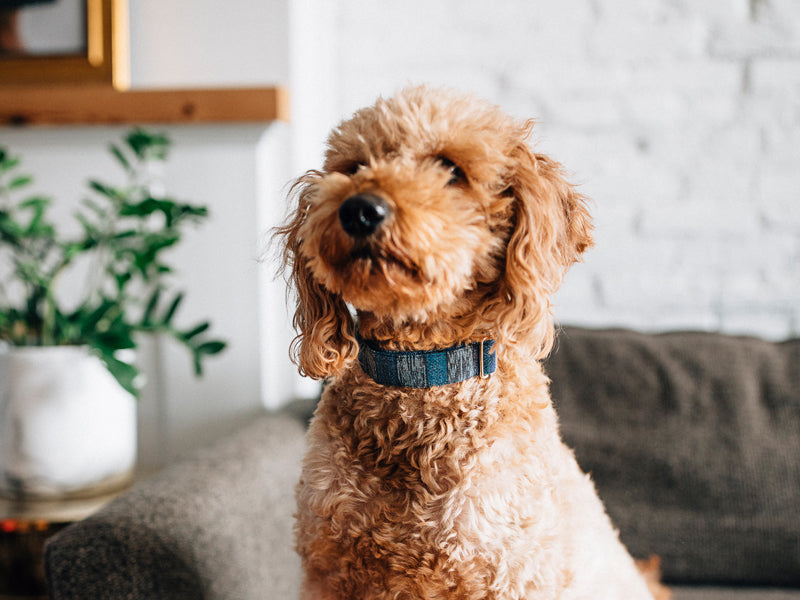 It’s the Little Things: How My Grandma Taught Me to Make Life Sweet