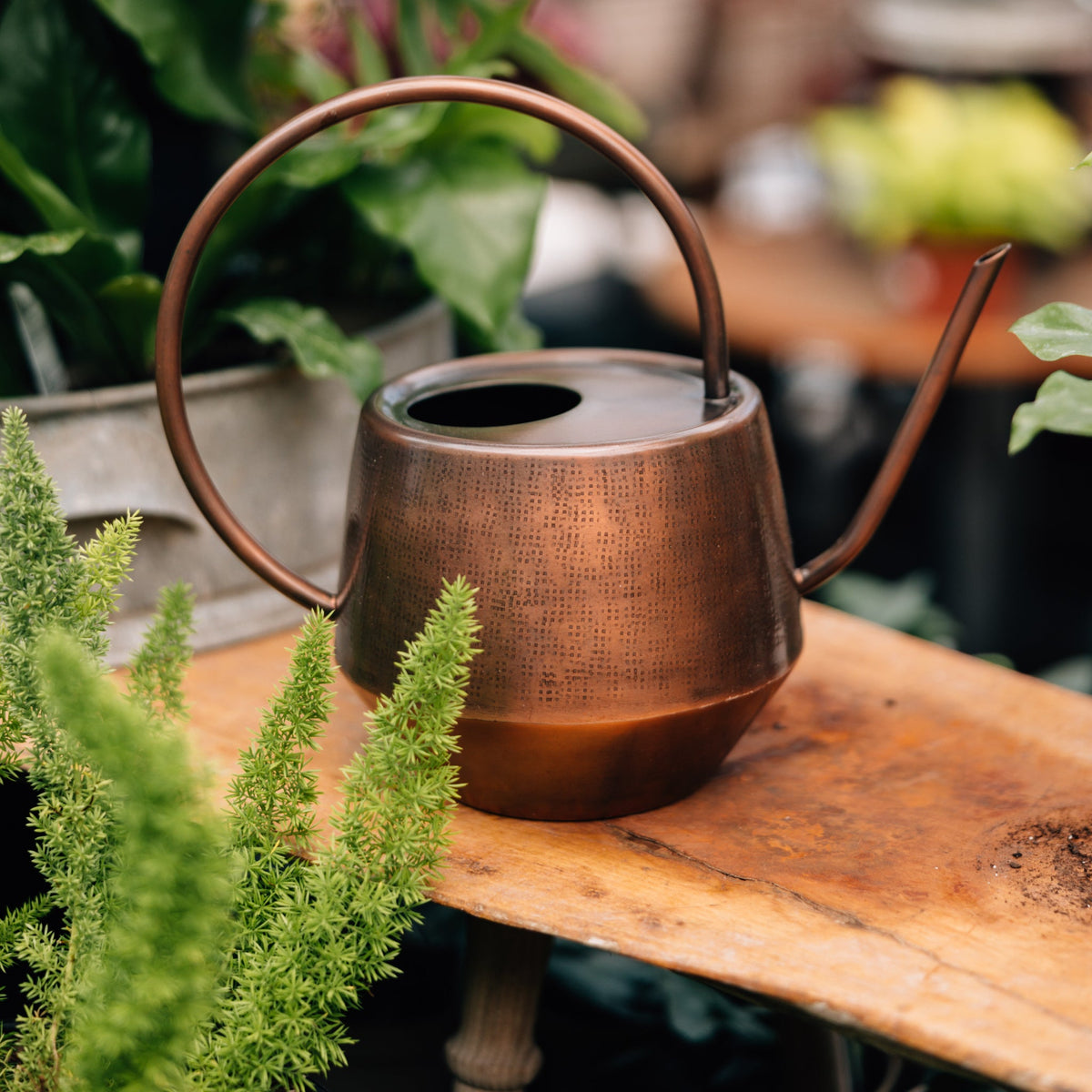 Gifts for the Gardener + Plant Enthusiast