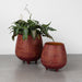 Hattaya Red Terracotta Planter with Feet - 6"D thumbnail 1