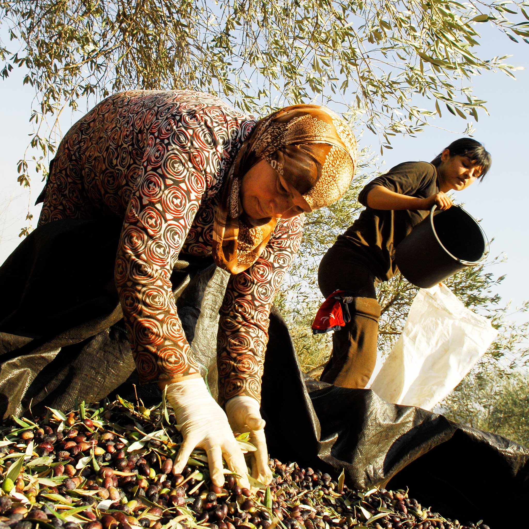 Dead Sea Mud & Olive Oil Soap - Ten Thousand Villages