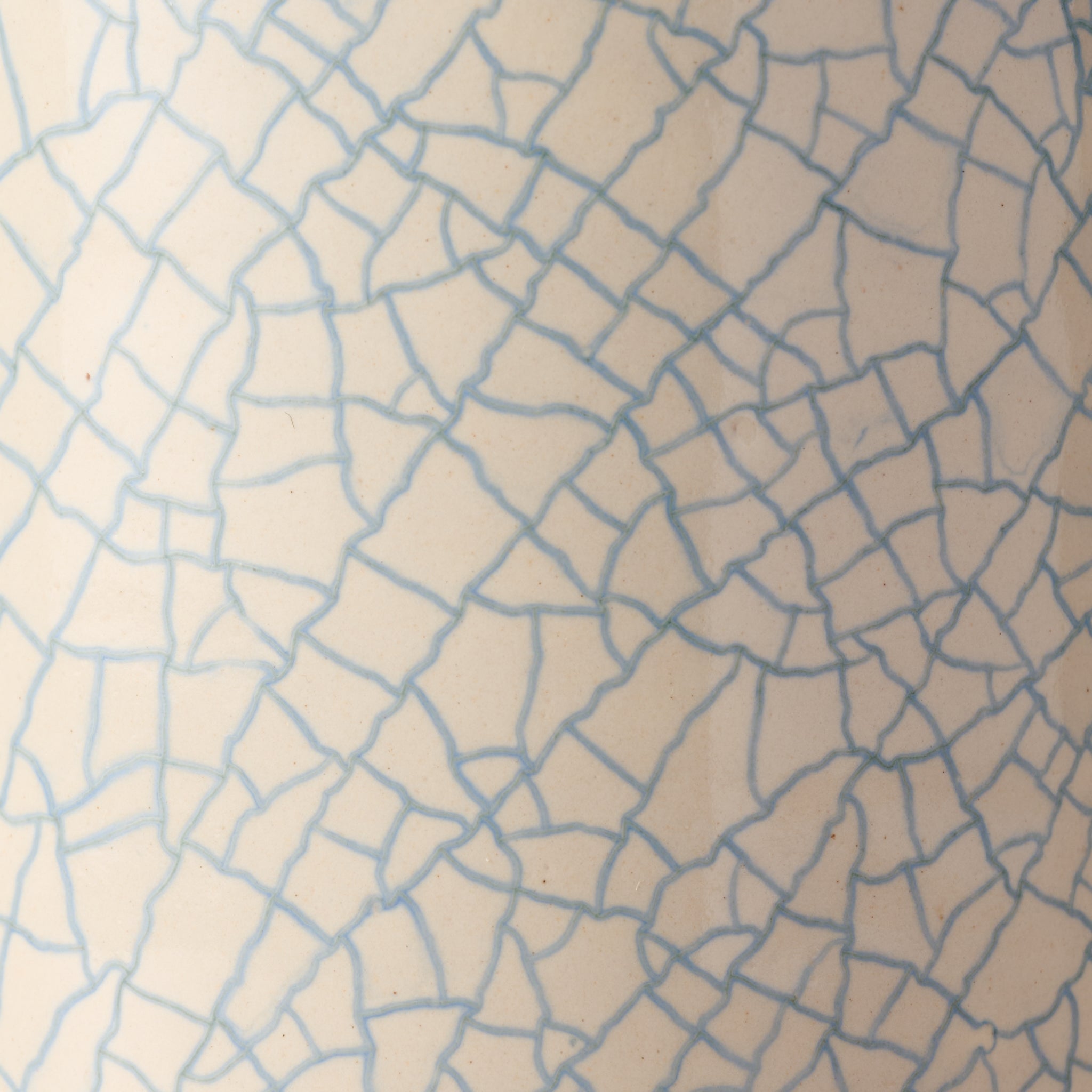 Ciya Blue Crackle Mug