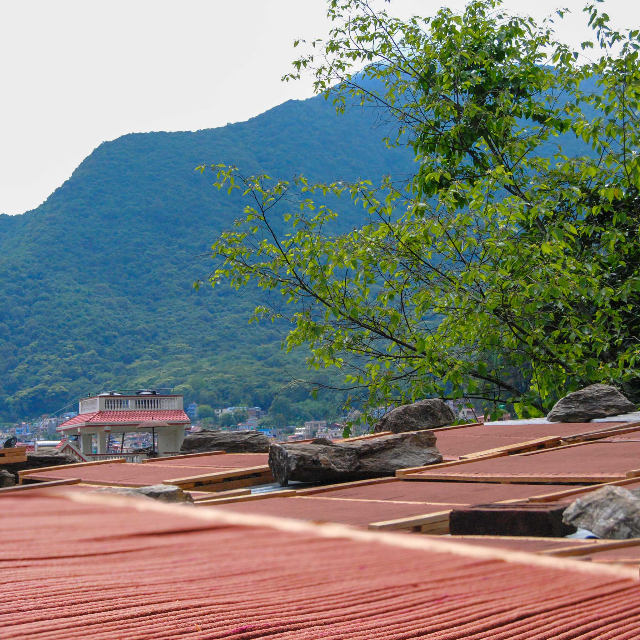 Daytime Incense Set - Ten Thousand Villages
