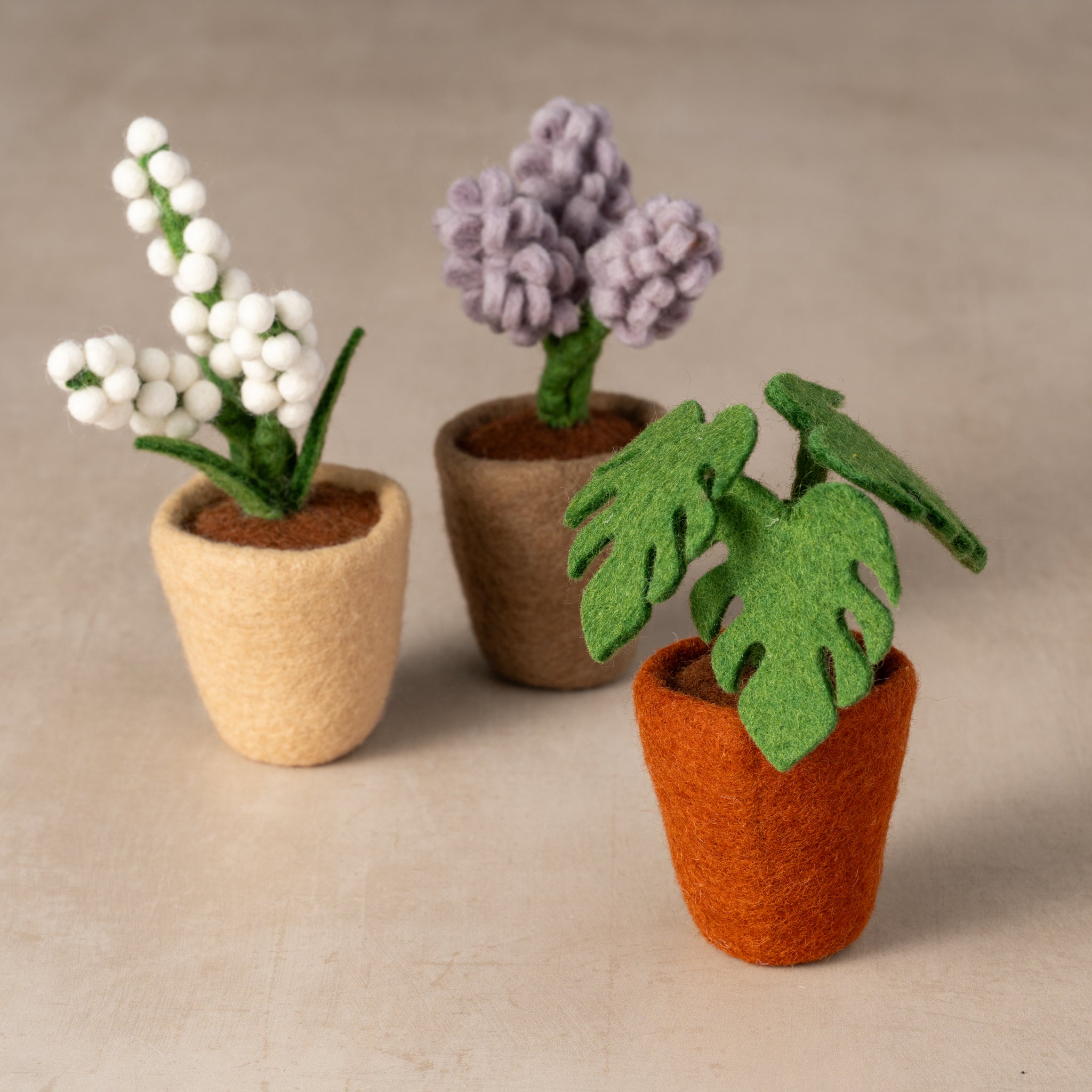 felt pots for plants Felted Flower Pot