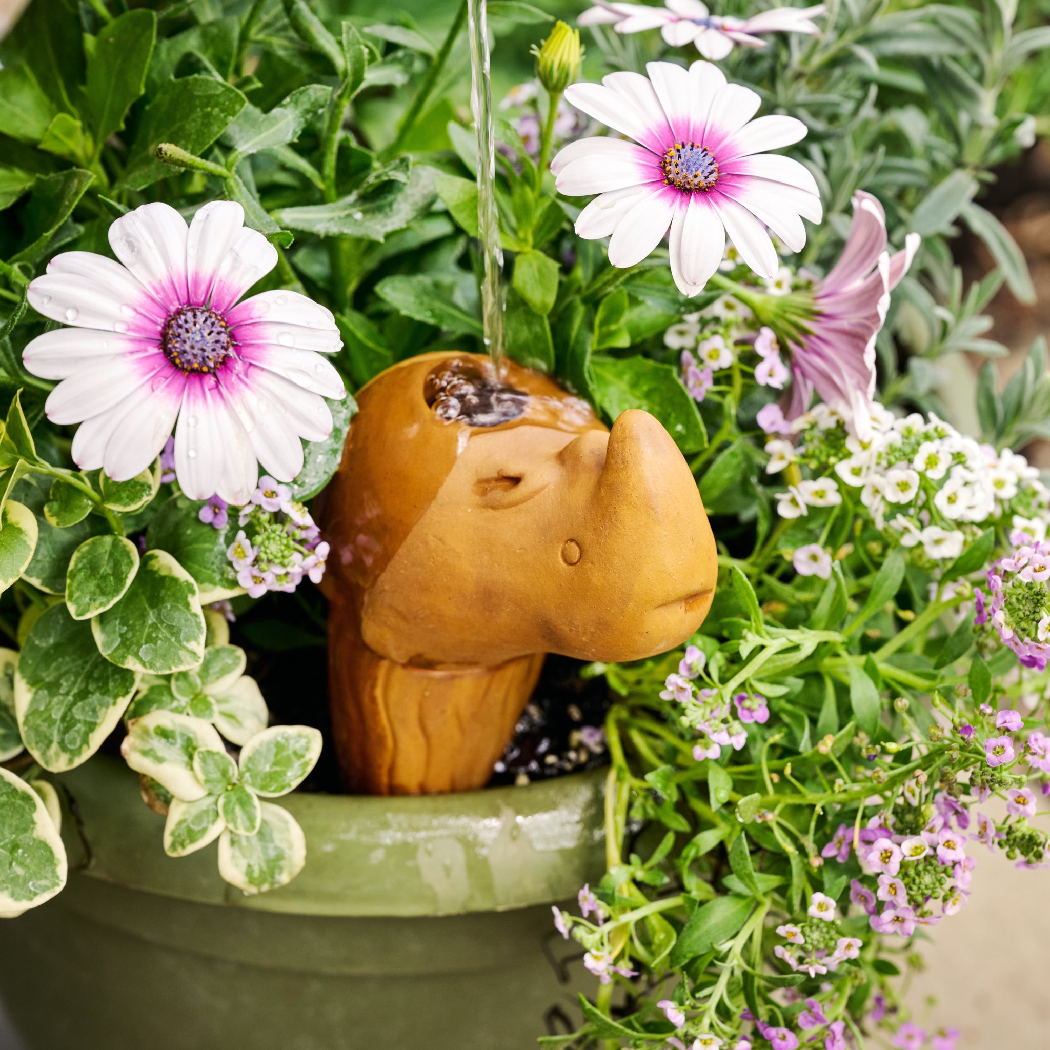 Self Watering Plant Pet - Rhino - Ten Thousand Villages