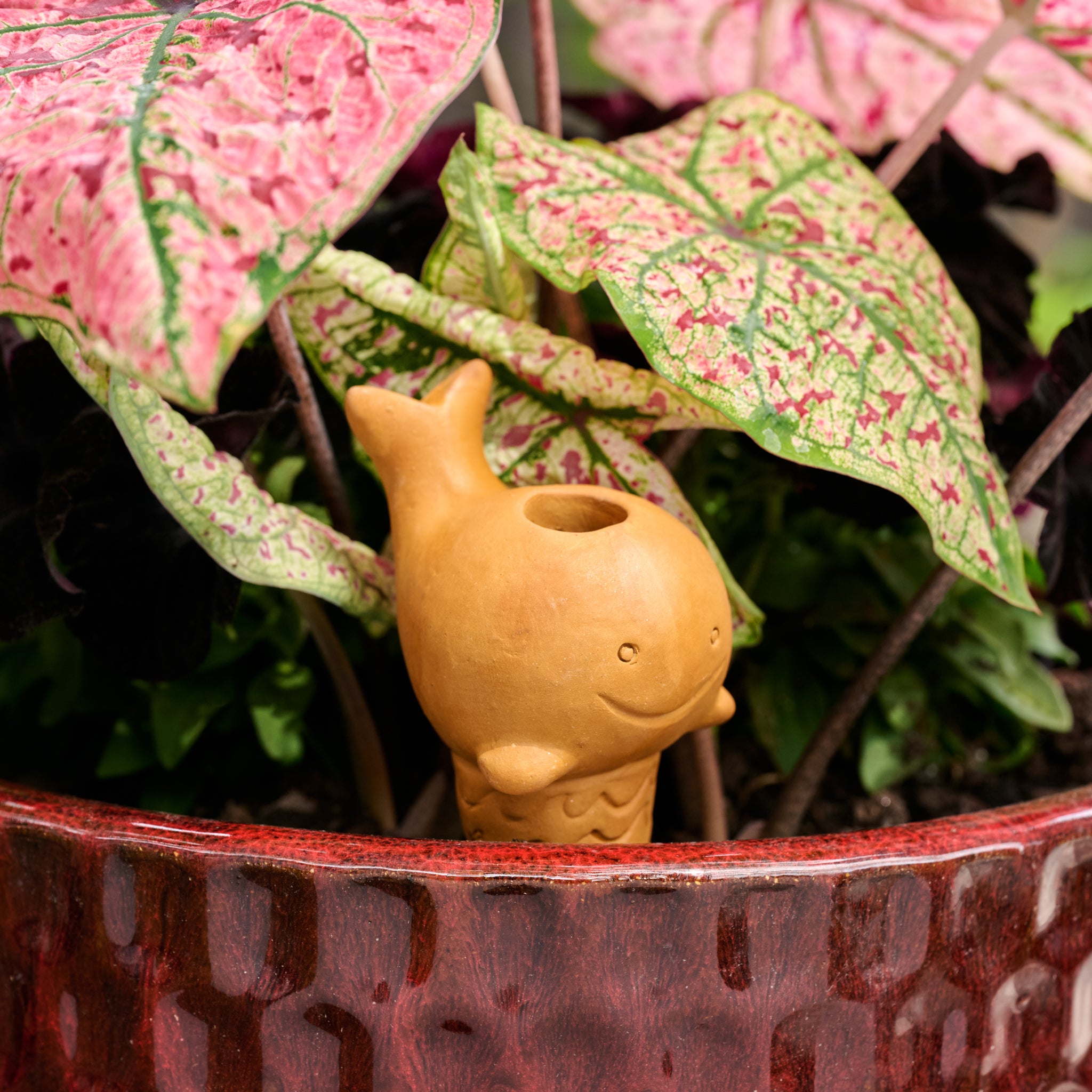 Self Watering Plant Pet - Whale – Ten Thousand Villages