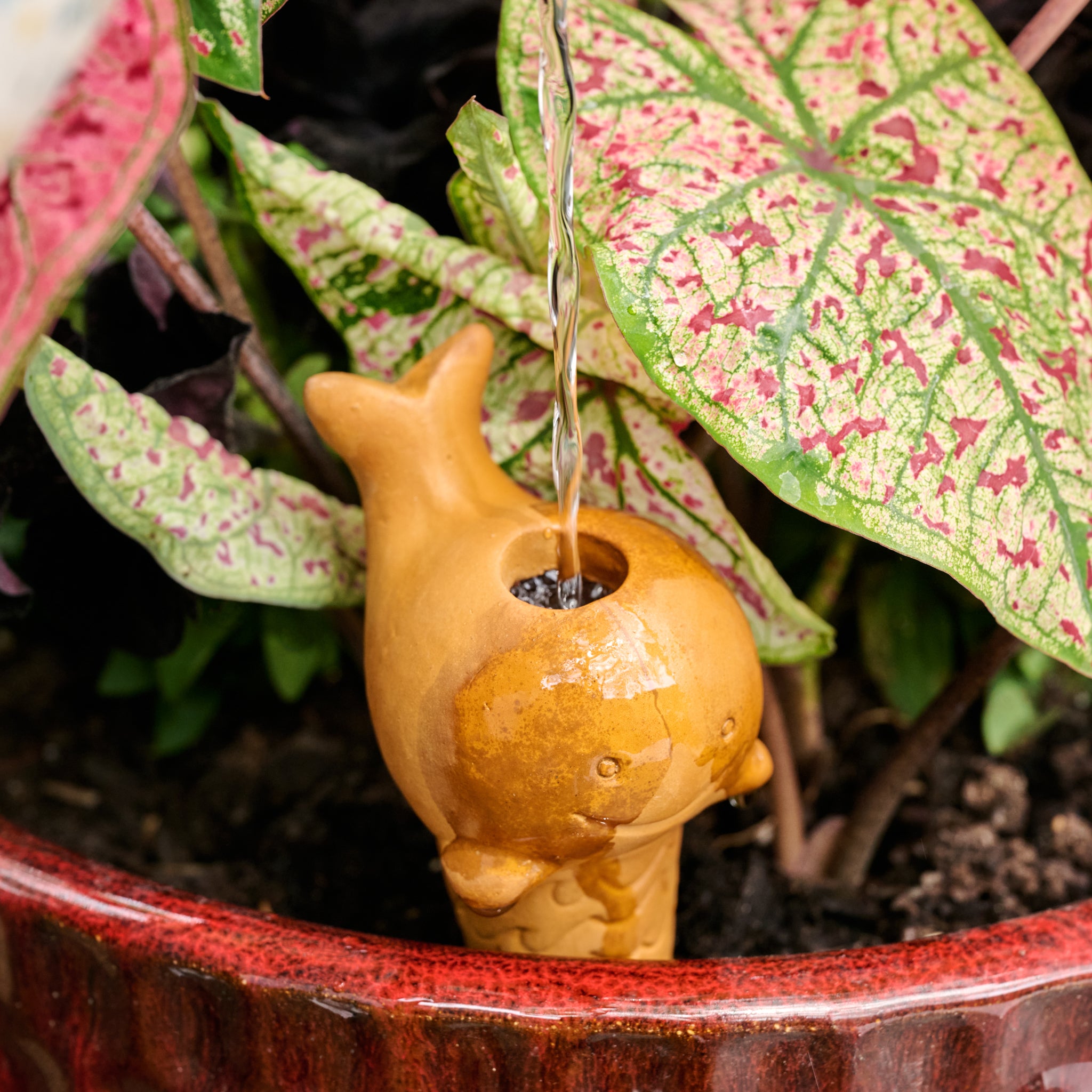 Self Watering Plant Pet - Whale – Ten Thousand Villages