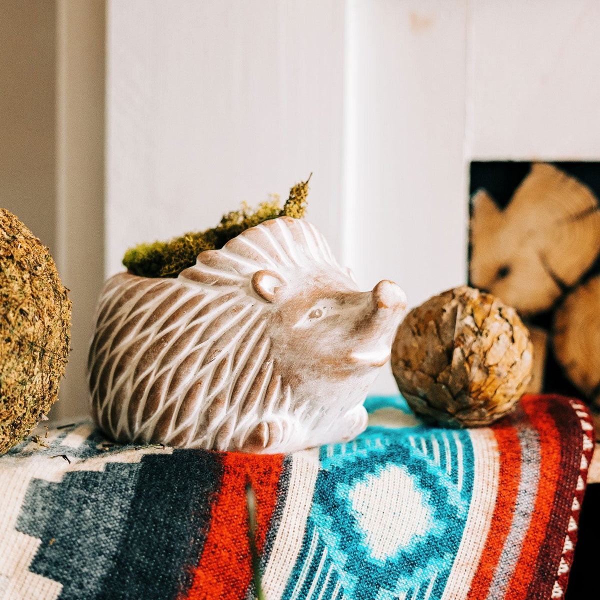 Hedgehog Planter (Small)