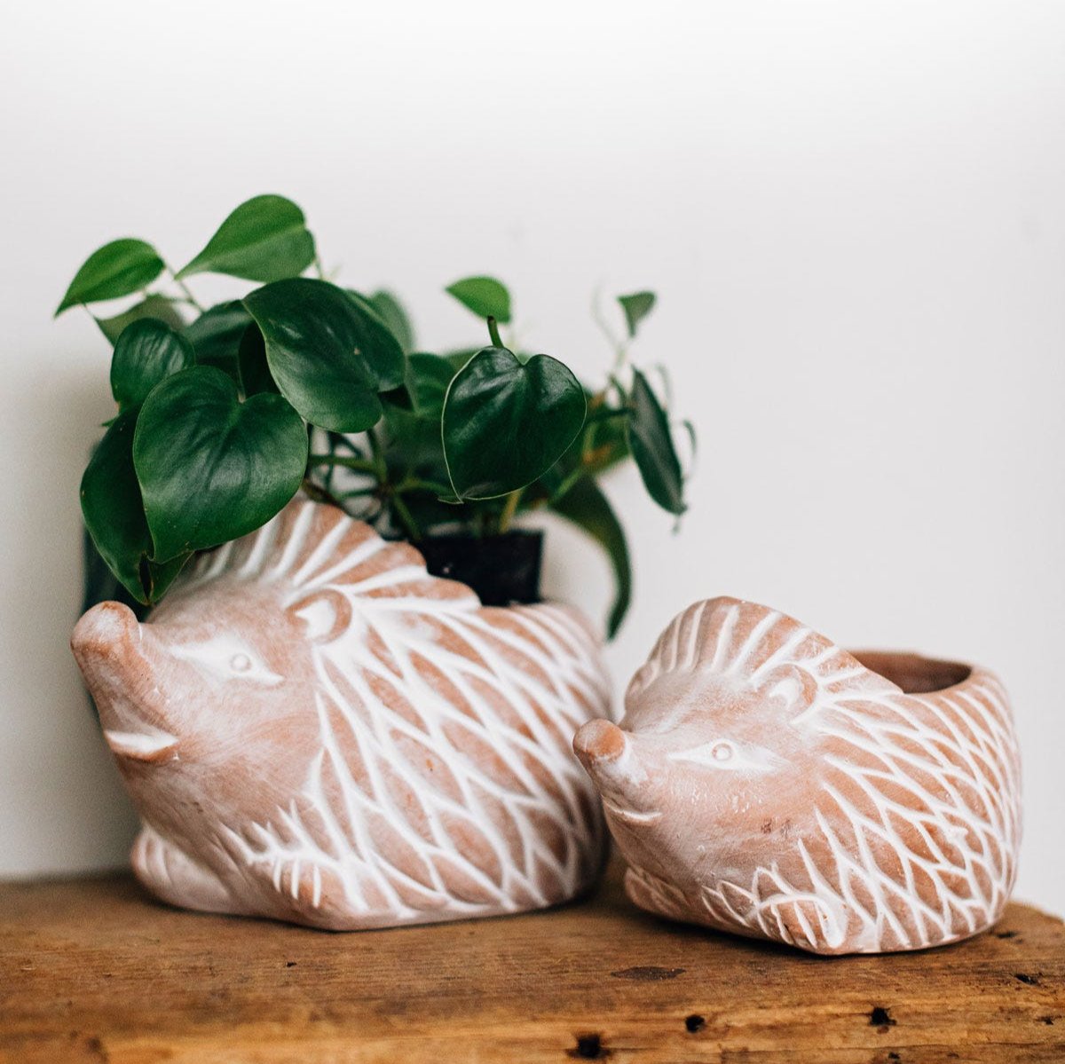 Hedgehog Planter (Small)