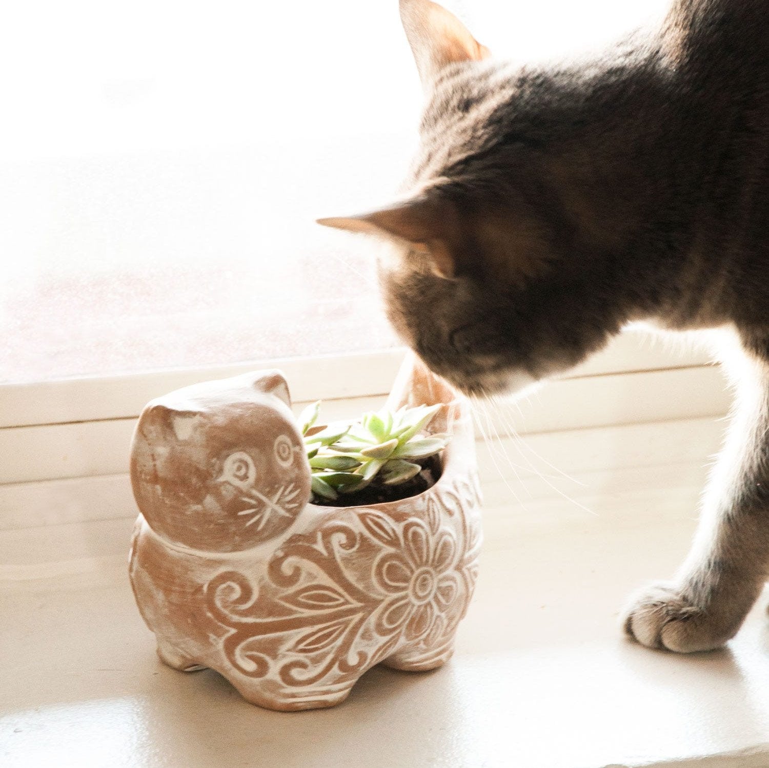 kitty plant pot Garden Kitty Planter – Ten Thousand Villages