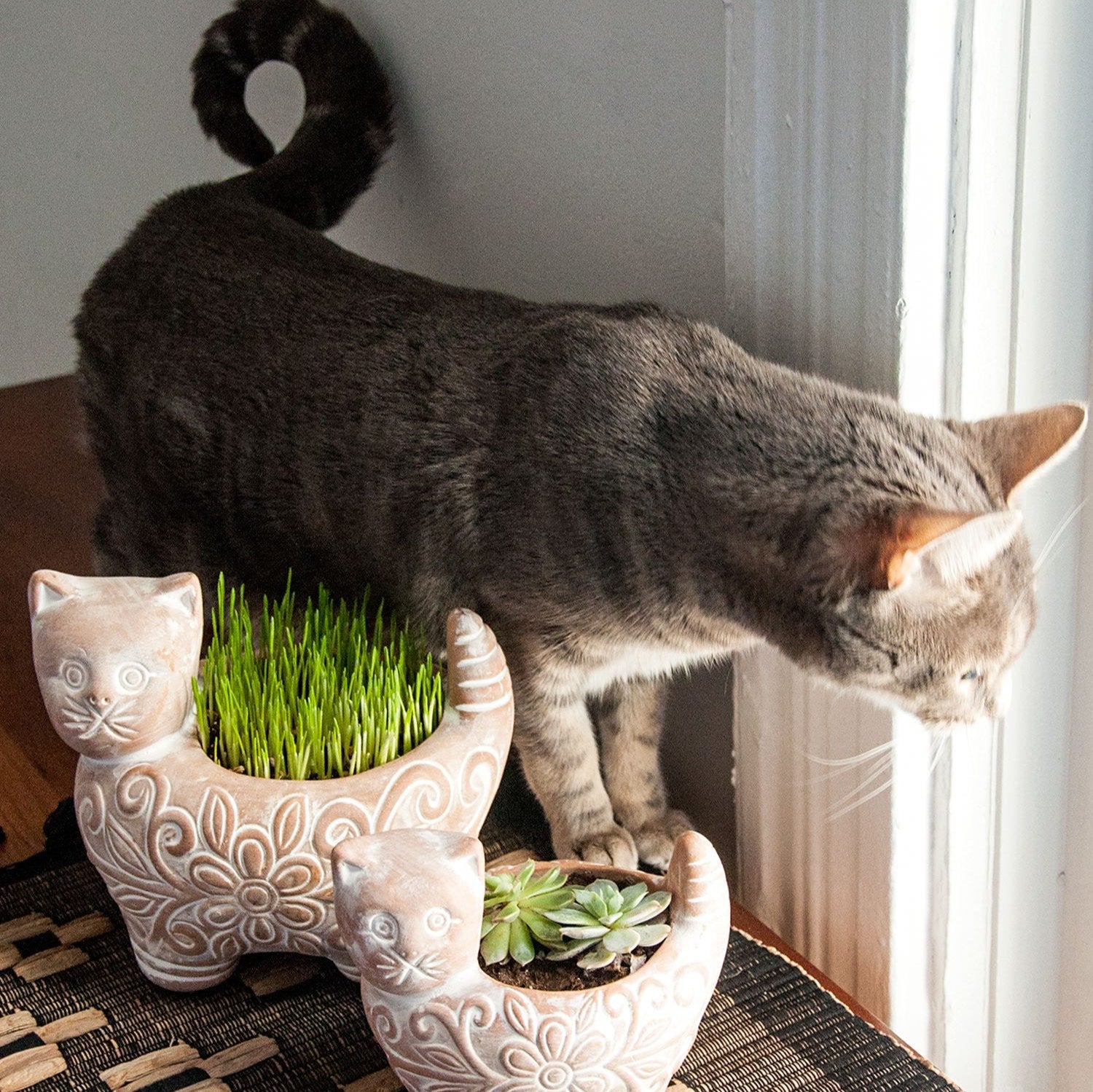 kitty planter pots Garden Kitty Planter – Ten Thousand Villages