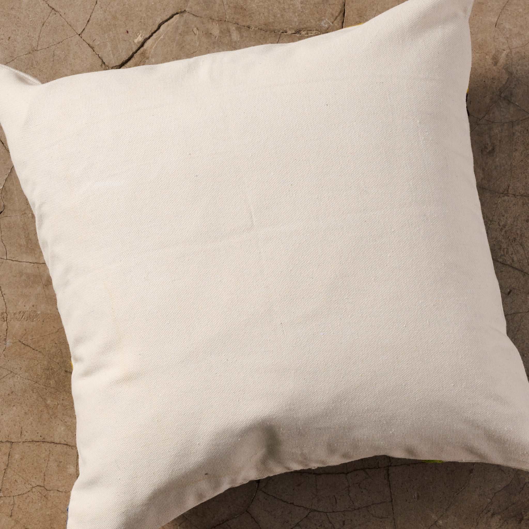 Baga Embroidered Pillow