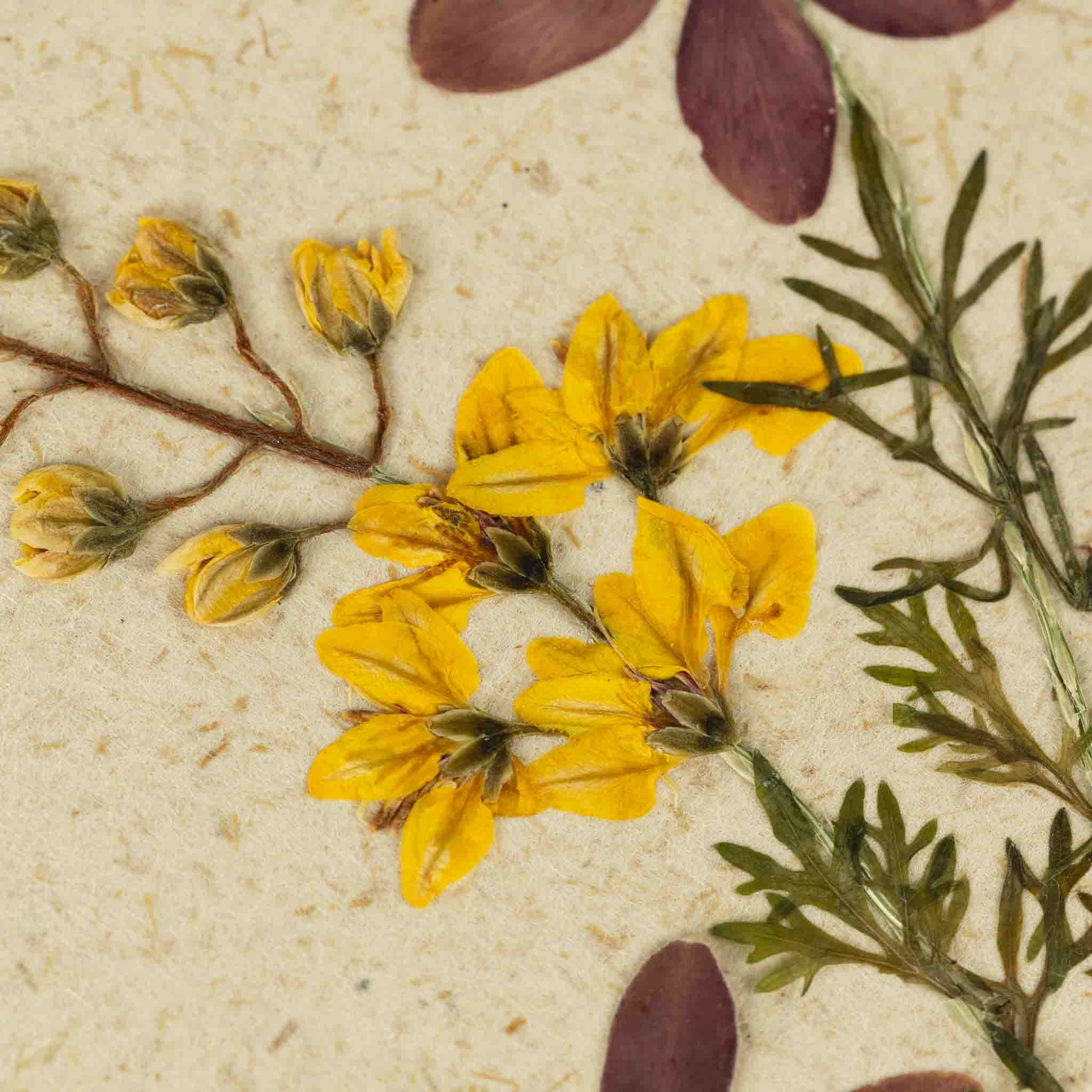 Hello Friend Flowers Greeting Card - Default Title (7925170)