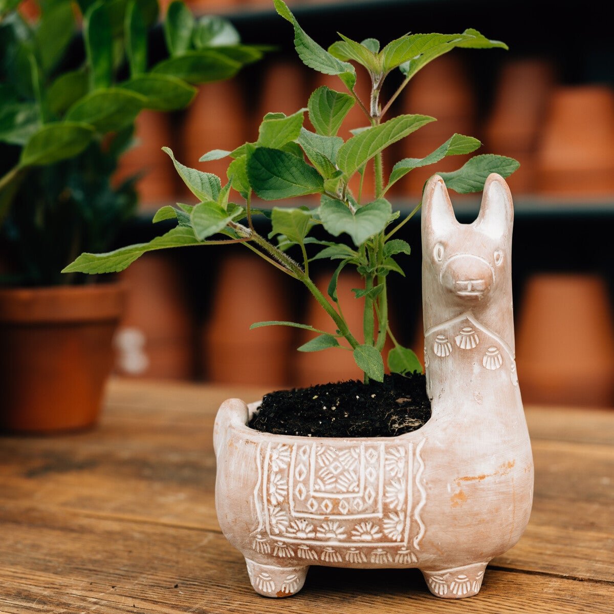 Llama Terracotta Planter - Ten Thousand Villages