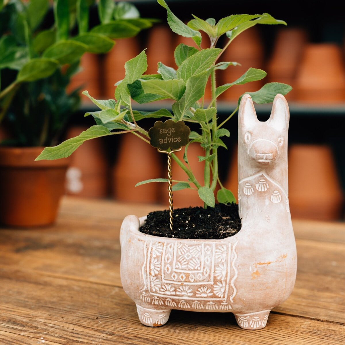 Llama Terracotta Planter - Ten Thousand Villages