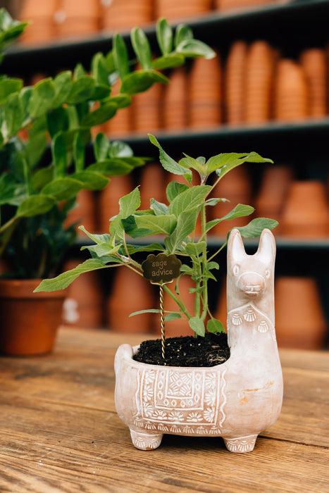 Llama Terracotta Planter 3