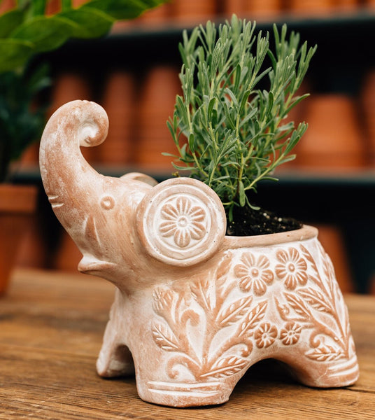 elephant planter with succulent Trumpeting Elephant Planter