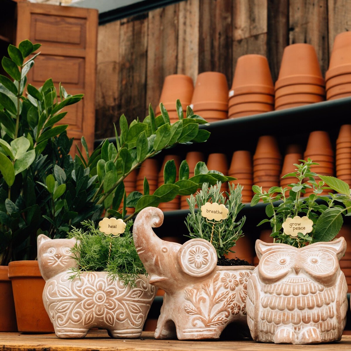 Plant Markers - Rest - Ten Thousand Villages