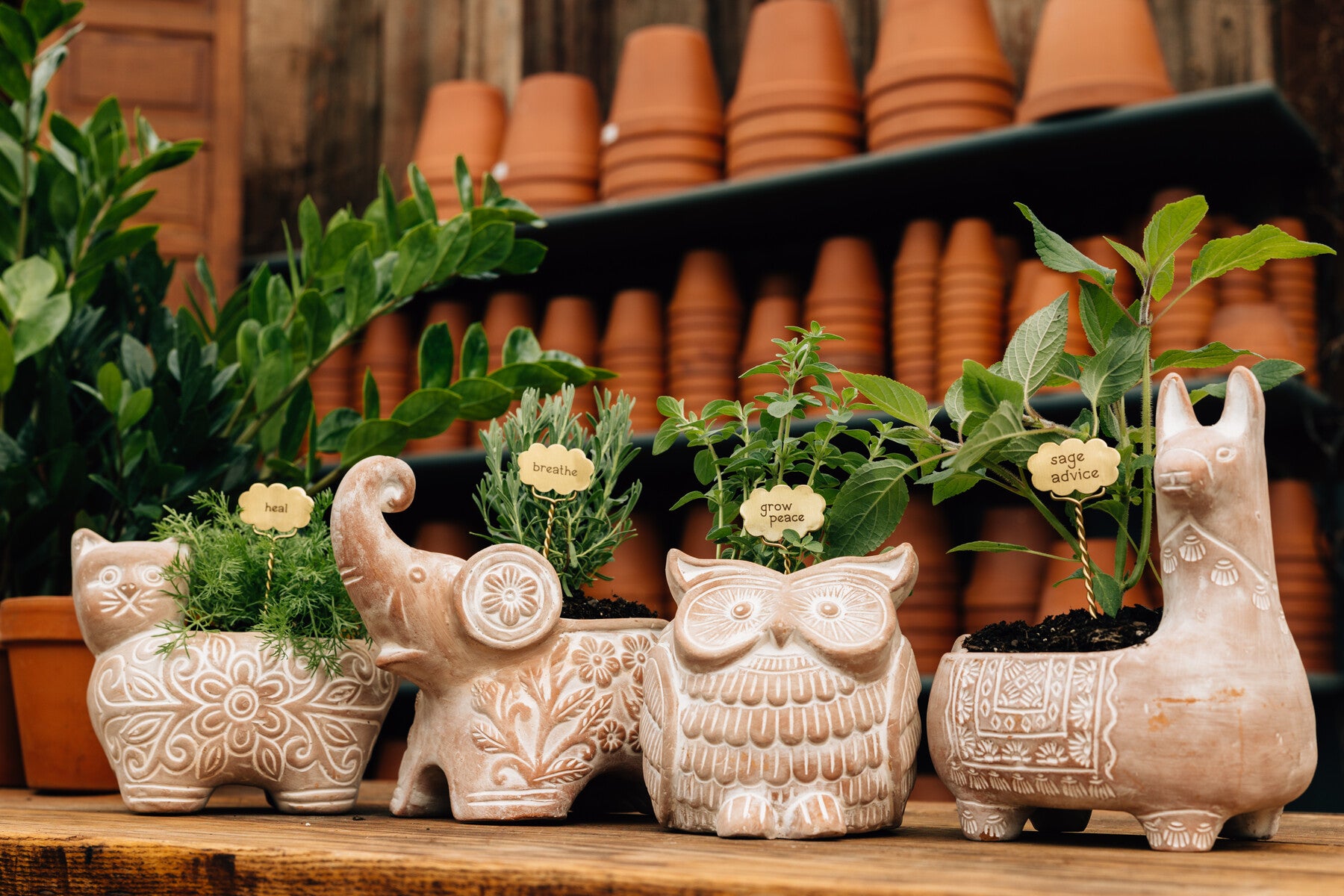 elephant planter with succulent Trumpeting Elephant Planter