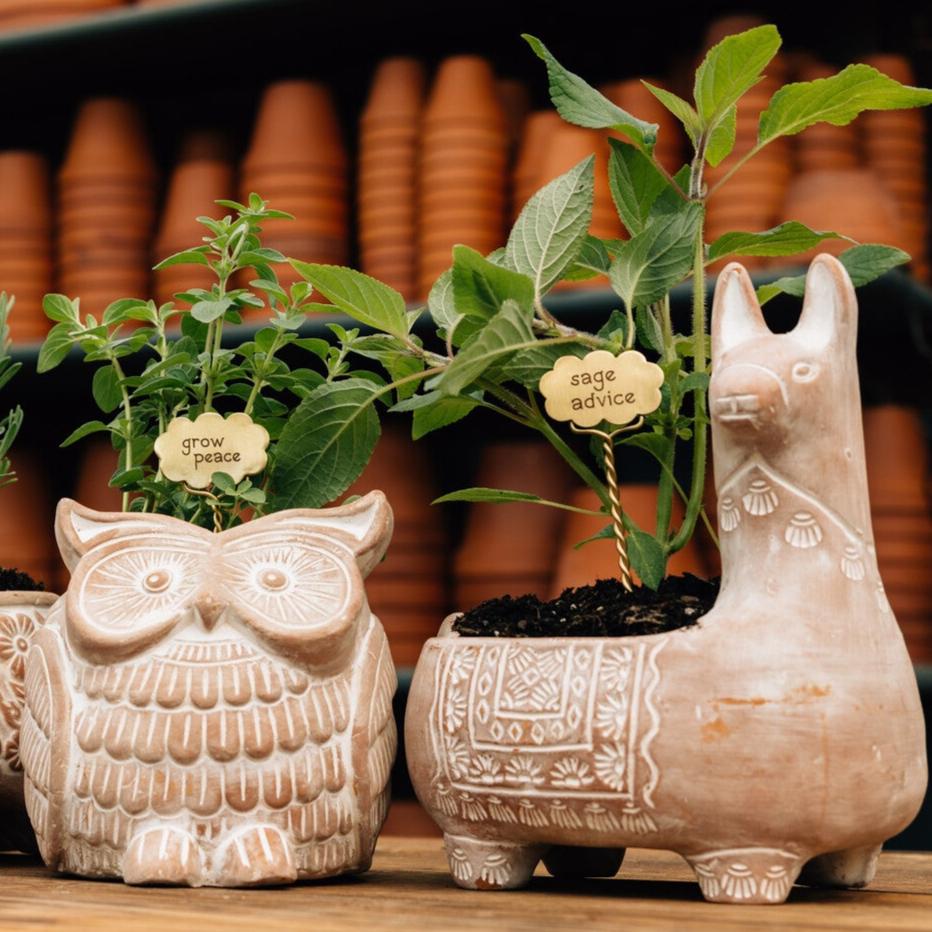 ceramic owl flower pot Llama Terracotta Planter