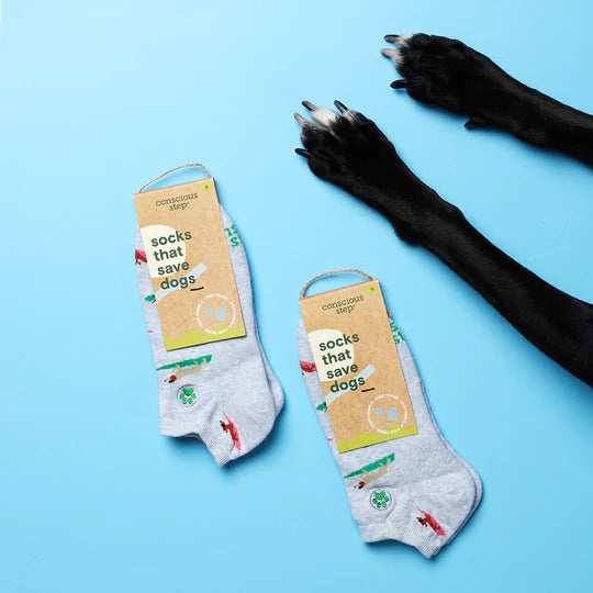 Socks that Save Dogs - Ankle, Surfing 3