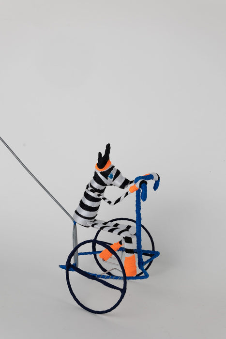 Galimoto Zebra 5
