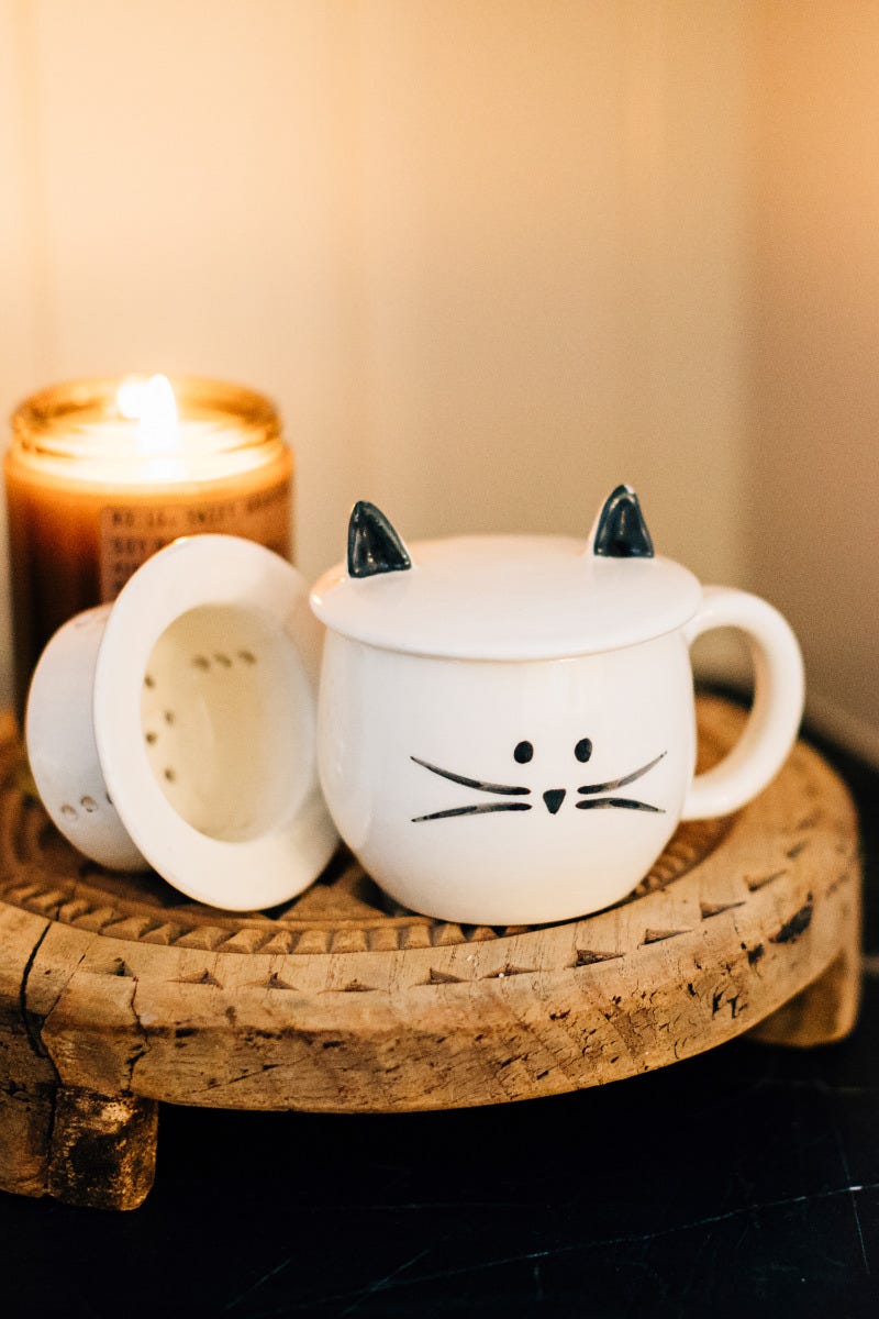 Meow Mug & Tea Strainer - Ten Thousand Villages