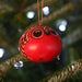 Baby Owl Gourd Ornament thumbnail 4